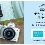 Canon EOS Kiss Mのキャッシュバックキャンペーン 応募の注意点とは？【最大10000円】